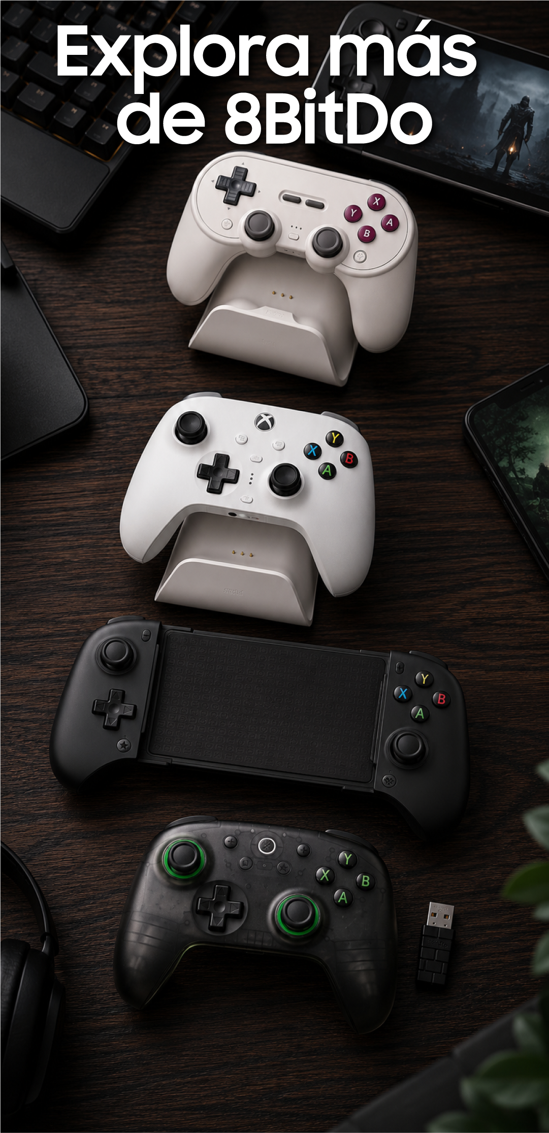 Explorar todos los productos 8BitDo